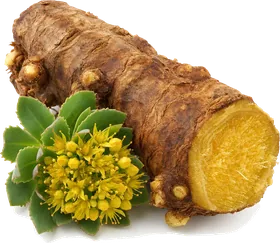 Rhodiola in the Run Hot red maca formula